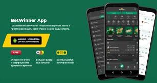 Comprehensive Overview of BetWinner Online Casino